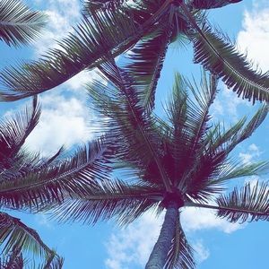 Meet your Posher, Kierstyn